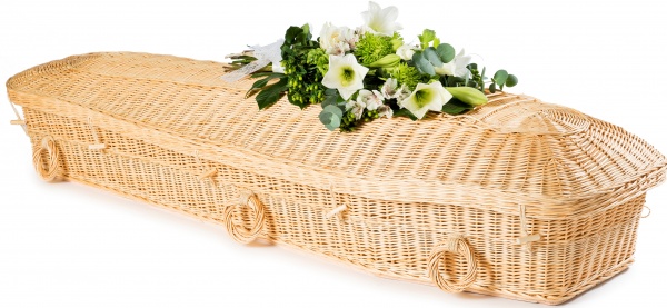 Light Willow Pod Coffin